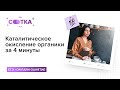 Каталитическое окисление органики за 4 минуты