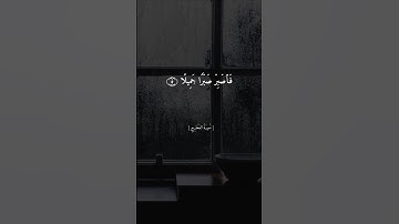 فاصبر صبرا جميلا || القارئ ماهر المعيقلي ||🤍