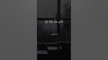 فاصبر صبرا جميلا || القارئ ماهر المعيقلي ||🤍