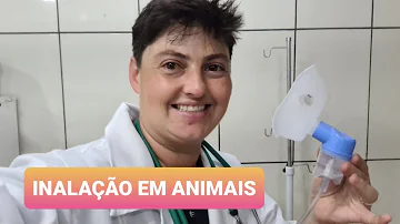 Pode fazer inalação no gato?