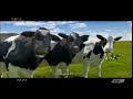 Từ Từ Mở VTV3 Quảng Cáo Sữa Tươi Vinamilk Suốt Cả Ngày Dài Truyền Hình YouTube Mà (2014) 15s
