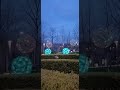 Музыкальный лабиринт #паркгалицкого #ландшафтныйдизайн #shorts