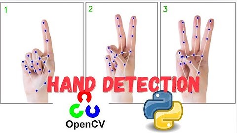 Real-Time Hand Tracking & Finger Counting in Python | OpenCV Tutorial for Beginners