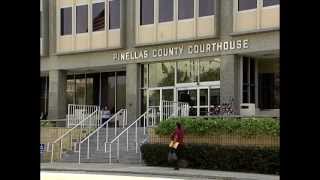 Pinellas County FY 2013 Budget Report