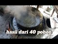 NIRA KELAPA DARI 40 POHON