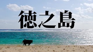 【徳之島のすべてを凝縮】　日本の離島～Color of Tokunoshima Japan island～