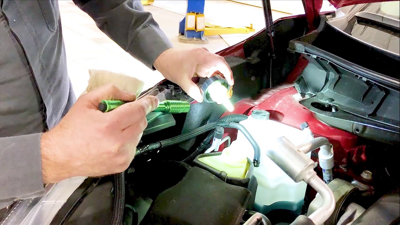 DIY How to check your fluid levels. YouTube