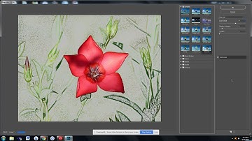 Adobe Photoshop: Filter Gallery (Artistic)