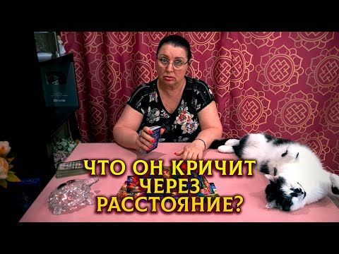 Что кричит он вам через расстояние?