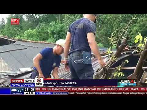 Video: Siapa yang bertanggung jawab jika pohon tumbang di pagar?