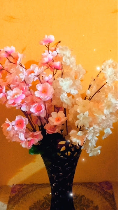 Photo album. #ringtone #music #song