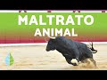 MALTRATO ANIMAL 🐘 Definición y EJEMPLOS ACTUALES DE 2019