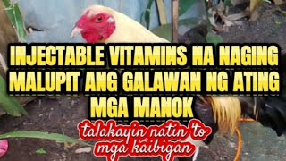Injectable Vitamins Na Naging Malupit Ang Galawan Ng Ating Mga Alaga