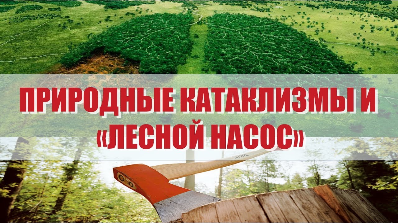 Каско природные катаклизмы