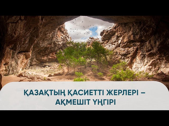 NN гей-порно бейнелері