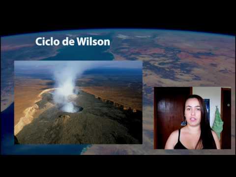 Vídeo: O que o ciclo de Wilson explica?