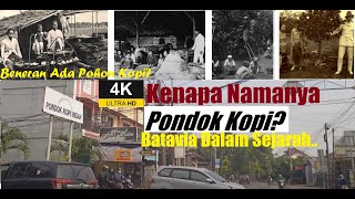 Sejarah Singkat Pondok Kopi dari Jaman Belanda | Jakarta Timur | Ada Kebun Kopi!