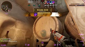 Counter Strike 2, MVP Music Kit | Rad Cat, Reason