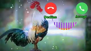 Cook Ringtone Sms Ringtone Funny Ringtone Alarm Ringtone Call Ringtone Notification Ringtone 2021 screenshot 5