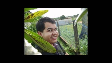 marine bio video assignment.avi