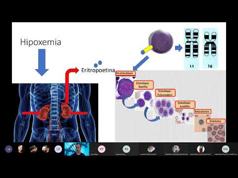 Praticas Aplicadas em Hematologia e Microbiologia Clinica 1