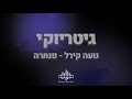 נועה קירל פנתרה קריוקי גיטריוקי נועה קירל פנתרה קריוקי גיטריוקי