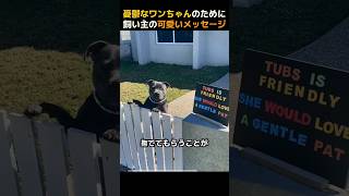 憂鬱なワンちゃんのために飼い主の可愛いメッセージ