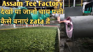 Tee Factory Vedio Dekho Chaypati Kayse Banaye Jati Hai Iss Vedio Me