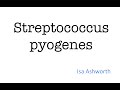 Streptococcus pyogenes - Microbiology for Medical Students