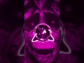 MONTAGEM SANTA FE 2 (Super Slowed)
