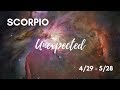 SCORPIO: The Unexpected 4/29 - 5/28