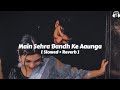 Main sehra bandh ke aunga  slowed  reverb  udit narayan  deewana mujhsa nahi  90s hindi song