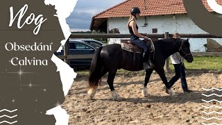 Vlog // Obsedání Calvina