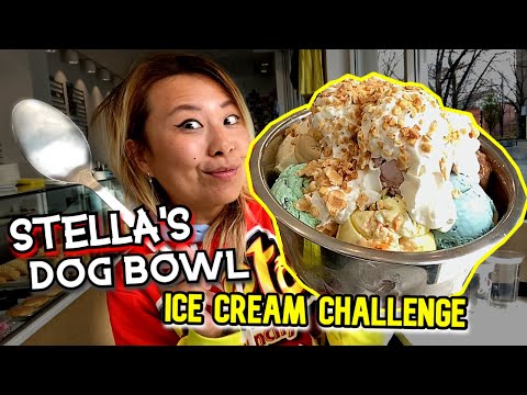 MASSIVE ICE CREAM DOG BOWL CHALLENGE AT STELLA'S IN IDAHO!!! #RainaisCrazy