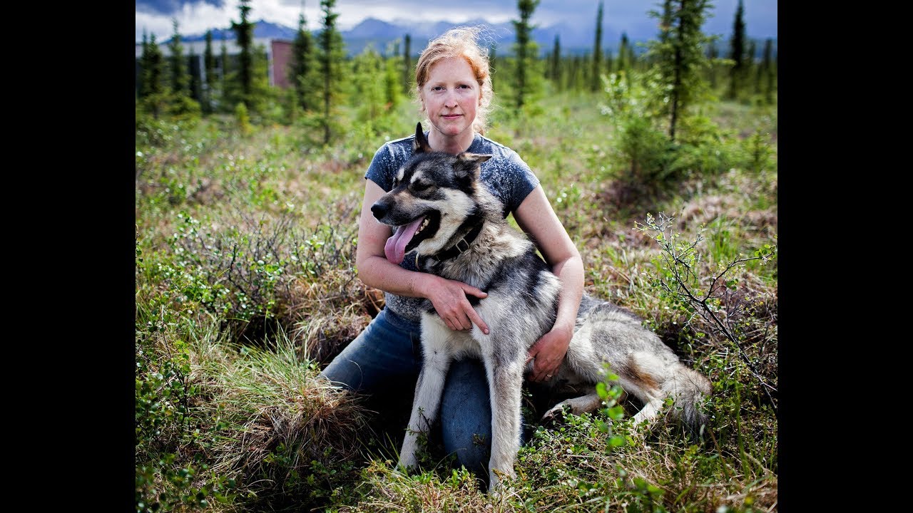 5 essential commands you can teach your dog