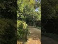 Harbiye Şelalesi Hatay’ın doğal güzelliklerinden sadece bir tanesi. Doğası ile adeta büyülüyor.