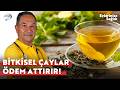 Altın Otu Karaciğerin En Büyük Dostudur | Feridun Kunak'la Evlerinize Sağlık