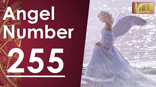 Meaning Of Angel Number255 | | Universe Message | Angel Guidance | 1111 Universe