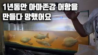 1년 동안 아마존강 어항을 만들다 결국 망했어요 ㄷㄷ