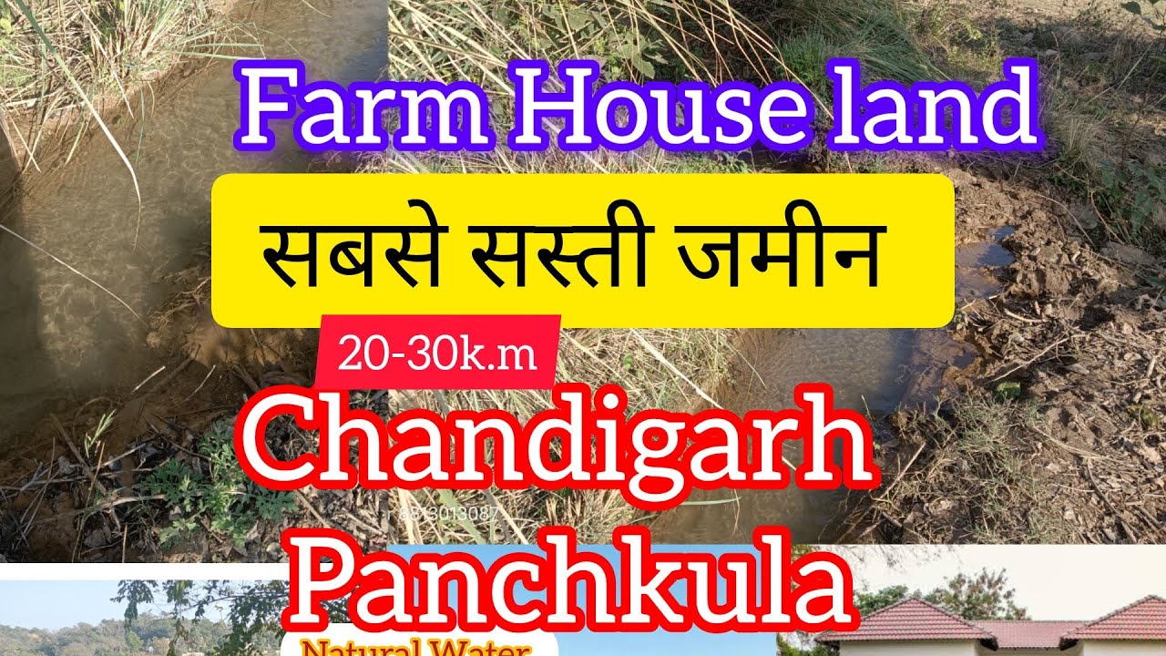 ( सस्ती जमीन ) land for sale kalka Baddi road Pinjore Panchkula 