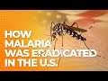 How Malaria Was Eradicated in North America