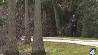 Jax Beach police make another plea for public’s help after father of 4 killed in front of 2-year...
