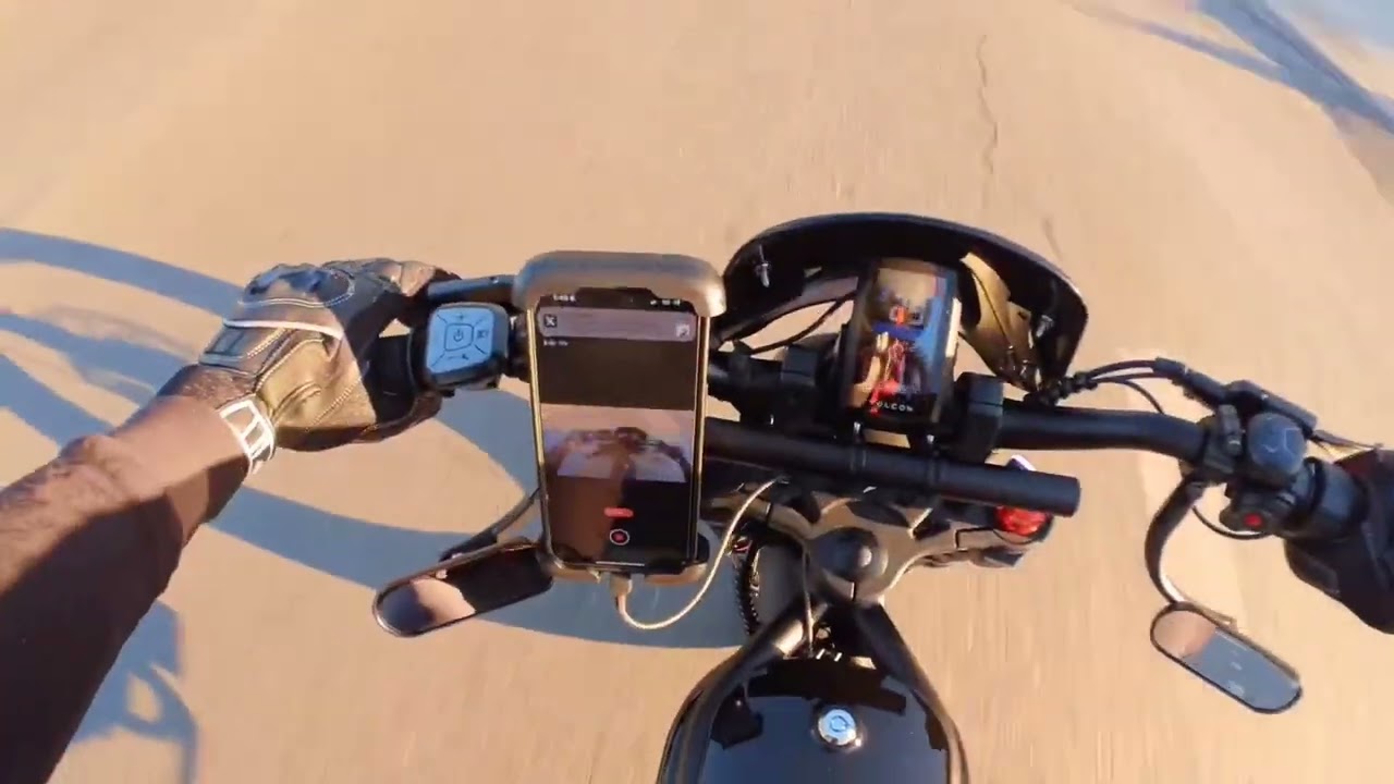 VOLCON BRAT IN THE WILD