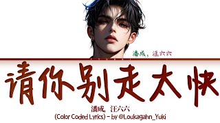 [ENGSUB] 潘成，汪六六《请你别走太快 (My heart move move 跳太快)》 歌词 (Color Coded Lyrics)