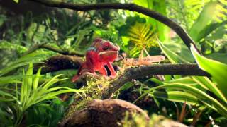 Visa UK: New TV Advert - Visa with Apple Pay (TFL)