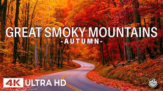 🍁 Great Smoky Mountains Autumn 4K 🇺🇸 | Vibrant Fall Foliage, Scenic Roads & Misty Mountain Views