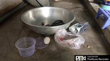 Bài mồi câu cá trê, lăng cực hay