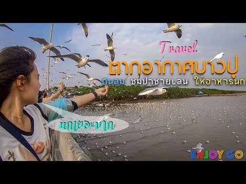 ENJOY GO : ตากอากาศบางปู วันหยุดสุดฟิน กินลม ชมวิวป่าชายเลน ให้อาหารนก บรรยากาศดีลมเย็น