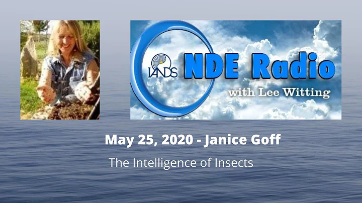 Janice Goff: The Intelligence of Insects