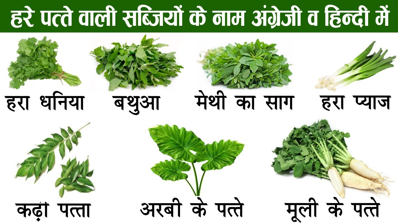 green vegetables essay in hindi